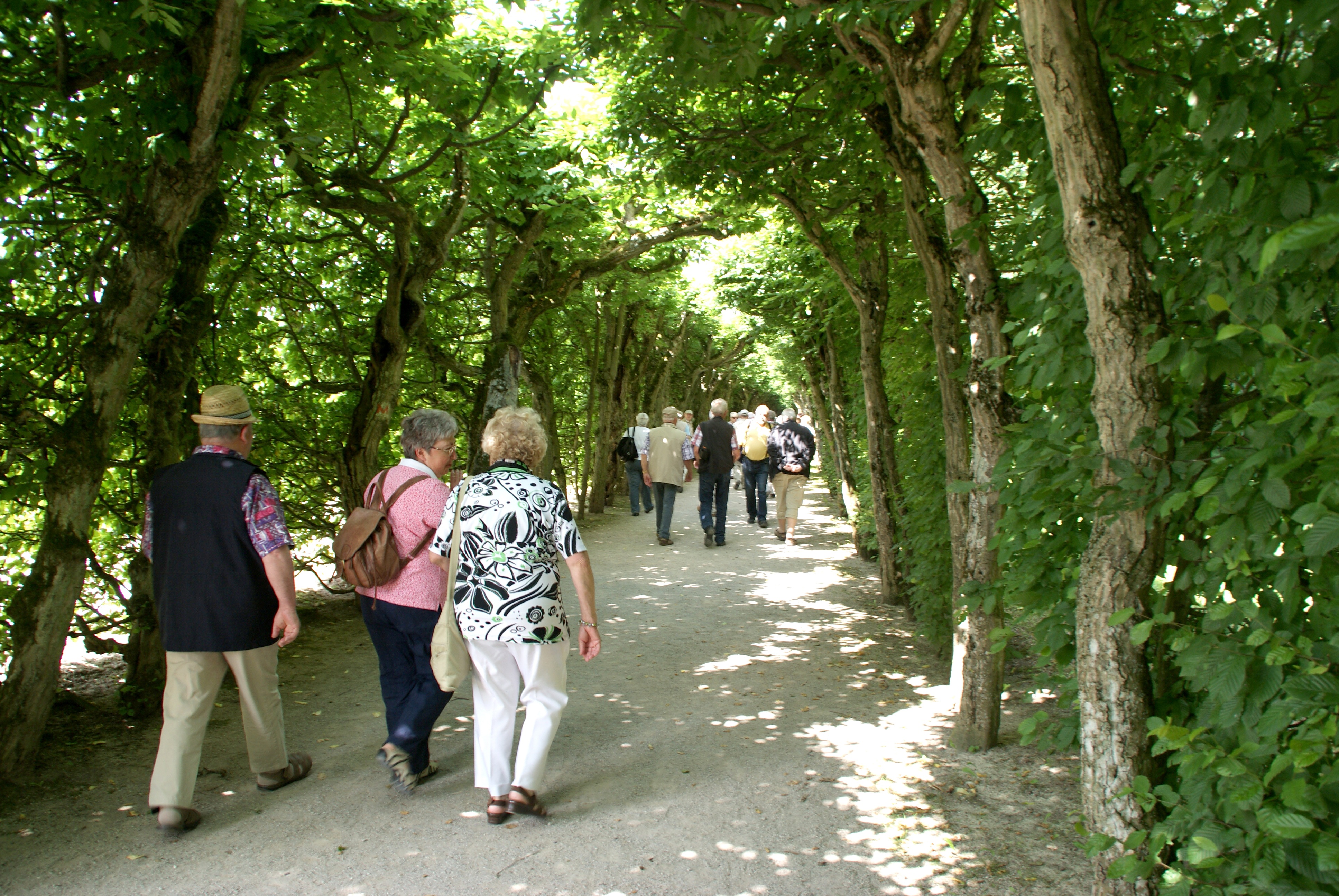 Градска алея с дървета и хора, които се разхождат спокойно по пътеката